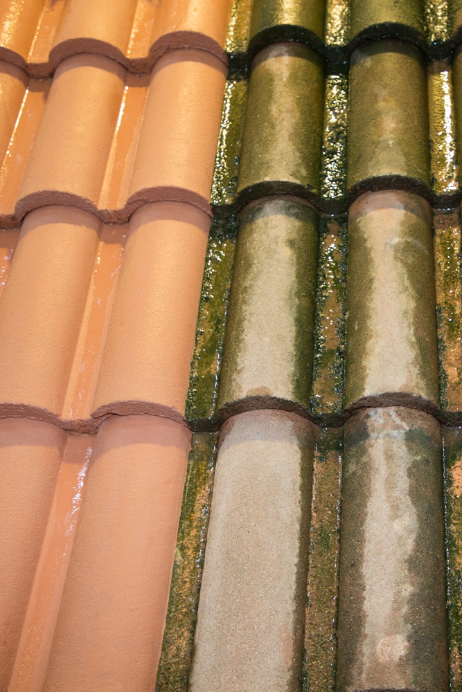 Nettoyage toiture à Lunéville